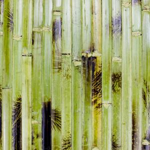 Cinese pittura di bambù <span class=keywords><strong>natura</strong></span> carta da parati di bambù di disegno di bambù della decorazione della parete del pannello - Product Image 1