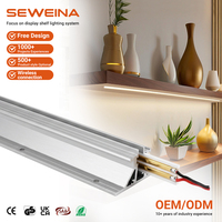 DC12/24V 6A AA Horizontale Insteekgeleidende Pilaar LED-lamp voor Schoenenwinkel Vitrines
