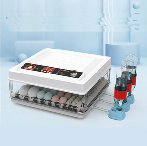 Incubateur automatique intelligent pour petits animaux domestiques, poulets, canards, oies, pigeons, paons, perroquets - Product Image 2