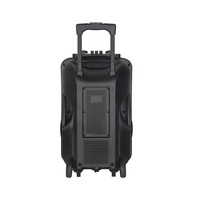 Altavoz Boombox para fiesta privada, altavoz BT portátil de ritmo festivo, sistema de fiesta multifuncional de 12 pulgadas, batería de plástico con