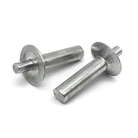 Rivets métalliques sur mesure à tête fraisée, disponibles en différentes tailles et couleurs pour meubles et boîtiers électroniques