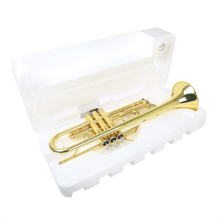 SLADE B-Flat Trumpet - Gold Brass Instrument for Beginners
