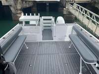 8.8m 29ft En Aluminium soudé catamaran bateau mer cruiser aluminium cabine de bateau de pêche à vendre