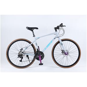 Premium Adult Road Bike with 21-Speed <strong>Drivetrain</strong>, Disc Brakes and Standard Pedals - Product Image 1