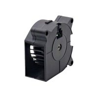 Échantillon Gratuit Ventilateur Centrifuge Sans Balais DC 12V 50mm 5020 Lames en Plastique Personnalisables ODM & OEM