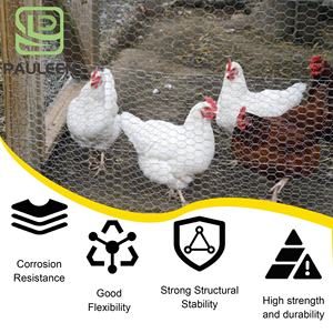 Rouleau de grillage <span class=keywords><strong>hexagonal</strong></span> en fer galvanisé, maille tissée hexagonale polyvalente pour cages, <span class=keywords><strong>double</strong></span> torsion - Product Image 3