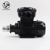 Pompe à engrenages à entraînement magnétique 380V AC, mini pompe à engrenages sans fuite pour le transfert de liquides à haute viscosité