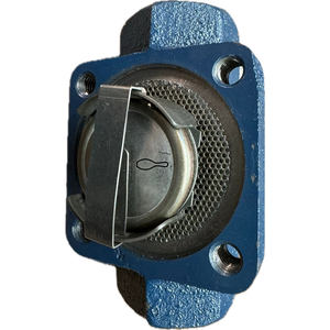 Trampa de Vapor Termostática de Presión Equilibrada TS50F ASTM A48 de Hierro Fundido con Brida Horizontal JIS10K PN25 - Product Image 6