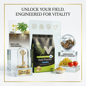 Promoteur de croissance racinaire, source minérale, fulvate de potassium, poudre dorée, biostimulant - Product Image 6