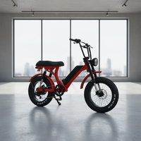 Fabricant OEM ODM, Vélo Électrique à Pneus Larges 1000w 750w avec Suspension Intégrale