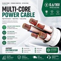 Cable de Alimentación IEC 60502-1 Estándar YJV de 3+2 Núcleos, 5 Núcleos, 0.6/1kV, Cobre XLPE PVC, 3 Fases, 5 Hilos, Cable Eléctrico Industrial