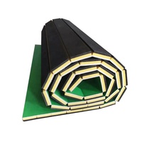 Tapis enroulable pliable en mousse tapis de lutte pour Judo Tatami gymnastique tapis de sol d'art martial