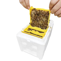 Nouvelle boîte d'accouplement portable SP Mini Queen - Ruche d'accouplement pour abeilles avec cadre d'alimentation - Outil professionnel d'apiculture