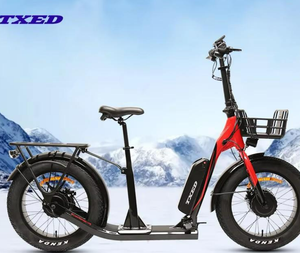 Monopattino Elettrico TXED Fashion 20x4.0 in Lega, Motore Doppio da 250W, Batteria al Litio 10.4Ah, Freno a Disco, Autonomia 30km, Scooter E-bike - Product Image 1