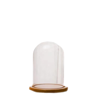 Dôme décoratif en verre Art Déco personnalisé GLEAM avec base en bois, multifonctionnel, pour la décoration de la maison et des hôtels, idéal pour les anniversaires