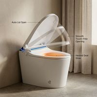 WC intelligent moderne et simple certifié CE avec bidet intégré, à siphon en P ou en S, pour le marché européen
