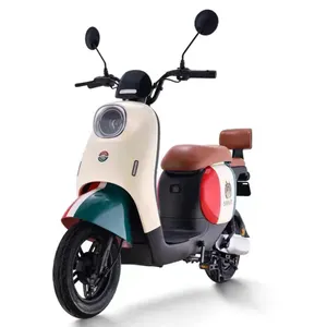 SAIGE 600W Mini Fahrrad Taschen räder mit Pedal elektrische modische Batterie Fahrrad rosa elektrische Motorrad Scooty für Dame