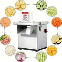 Hoge Efficiëntie Commerciële Groente- en Fruit Snijmachine voor Restaurantgebruik Henan 220V Motor 100kg/20min Laag Geluidsniveau voor Groenten en Fruit