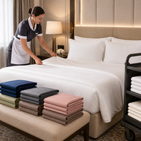 Sabanas De Algodon ensemble De draps De lit léger Super doux et facile à entretenir avec 14 pouces pleine taille