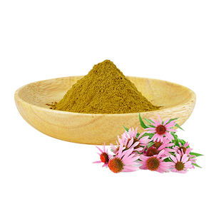 Extracto de Planta a Granel de Fábrica AMULYN, Extracto Herbal de Alta Pureza, Ácido Chicórico HPLC, Polifenol UV, Extracto de Equinácea en Polvo - Product Image 2