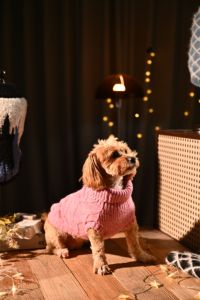 Pull en tricot luxueux et chaud pour animaux de compagnie, en poil de chameau, pour chats et chiens - Product Image 5