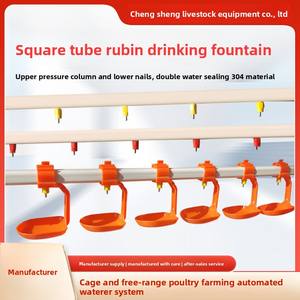 Cuenco de agua de manantial Rubin de tubo cuadrado ajustable, nueva condición, taza colgante de <span class=keywords><strong>pollos</strong></span> <span class=keywords><strong>para</strong></span> bebés <span class=keywords><strong>para</strong></span> beber, tamaño pequeño - Product Image 5