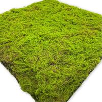 Tapis d'herbe artificielle coloré, plantes artificielles d'intérieur style jungle, tapis d'herbe d'automne en plastique, herbe artificielle d'extérieur