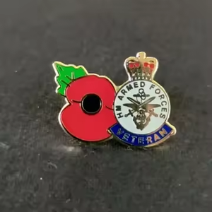 Nouvelle tendance RAF Souvenir Badge populaire UK Remembrance Day Épinglette en émail doux - Product Image 2