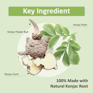 Aliments hypocaloriques exclusifs Shirataki instantané Nouilles biologiques Nouilles de <span class=keywords><strong>konjac</strong></span> Pâtes sans gluten - Product Image 3