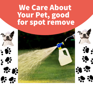 Tốt nhất khu vực rộng lớn Weed Killer phun với attachable Hose để kiểm soát cỏ dại và cỏ - Product Image 2