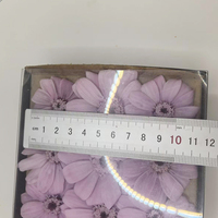Bunga Aster Meksiko Cosmos Bipinnatus Daisy Rea L4-5cm yang Diawetkan, Alami, Abadi, Kering, untuk Dekorasi Pernikahan, Pesta, dan Rumah