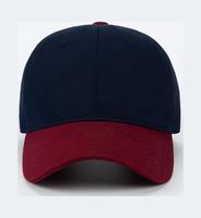 Gorra de Béisbol de 5 Paneles de Lona 100% Algodón con Logotipo Personalizado, Bordado con Patrones de Leopardo y Frutas, Unisex, para Adultos, Deportiva