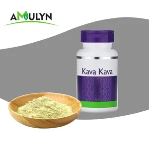 Usine chinoise Kavalactone 30% poudre d'extrait de Kava pur de haute qualité