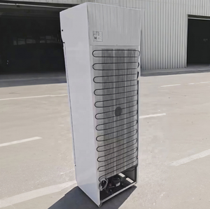 Réfrigérateur Commercial Vertical OEM 288L à Porte Unique pour Bar à Glace, Bières Red Bull et Boissons – <span class=keywords><strong>Prix</strong></span> Usine - Product Image 4
