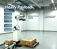 Robot de Paletización Colaborativo de Alta Eficiencia y Ahorro de Energía para Paletización de Cajas de Mercancías