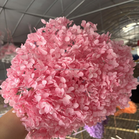 Vente en gros d'arrangements floraux pour la maison Décoration de mariage Grande fleur séchée d'hortensia Anna conservée