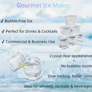 เครื่องทำน้ำแข็งเกอเมต์ WICE Commercial 30 กก. แบบพ่นฝอย สำหรับธุรกิจ - Product Image 3