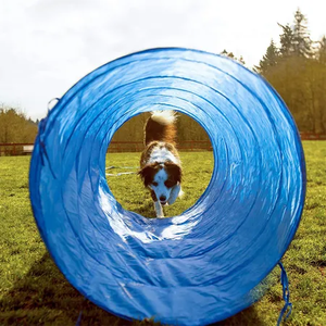 Pawise 28 pièces Ensemble d'équipement d'agilité pour <span class=keywords><strong>chien</strong></span> : parcours d'obstacles, tunnels, poteaux, boîte <span class=keywords><strong>de</strong></span> pause, sacs <span class=keywords><strong>de</strong></span> transport, meilleures ventes - Product Image 5