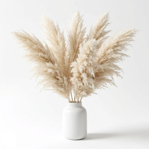 Plumas de Pampa Secas Ecológicas Naturales Esponjosas Decoración Boho para el Hogar Crema Beige <span class=keywords><strong>Pampas</strong></span> Altas Día de la Madre Año Nuevo - Product Image 1