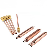 Filtre déshydrateur de compresseur de réfrigérateur-congélateur, buse de remplissage de liquide, valve unidirectionnelle, tube unique, double extrémité, universel, épaissi, R600a