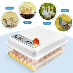 Aves fazenda ovos incubadoras nascedourador 70 ovos capacidade 98% alta taxa de incubação chick egg hatching machine