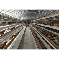 Cage à poules pondeuses de type A à alimentation automatique, avec nettoyage manuel du fumier par manivelle, pour élevage en batterie, à vendre