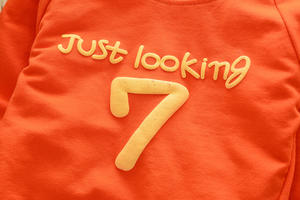 Vêtements pour bébés et tout-petits de 2 à 5 ans, vêtements pour garçons, mode décontractée d'automne, motif numérique, manches longues - Product Image 6