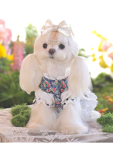 Falda Floral de Poliéster Personalizada de Lujo para Perros Pequeños, Bichones, Malteses, Fiesta de Té de Primavera - Product Image 1