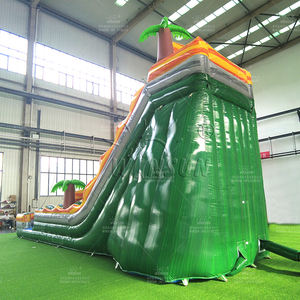 WINSUN Toboganes y Piscina Inflables de PVC para Parques Acuáticos al Aire Libre - Tamaño y Color Personalizables - Product Image 6