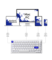 Akko MOD 007B PC Blue White OEM Mechanical Keyboard PBT Keycaps Multi-mode Hot-Swappable RGB Backlit Custom 75% 3600mAh Battery