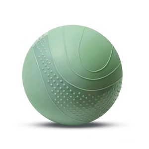 Soft <strong>Weighted</strong> PVC Training <strong>Balls</strong> Plyo <strong>Balls</strong> for <strong>Baseball</strong> Pitching Batting Practice - Product Image 1