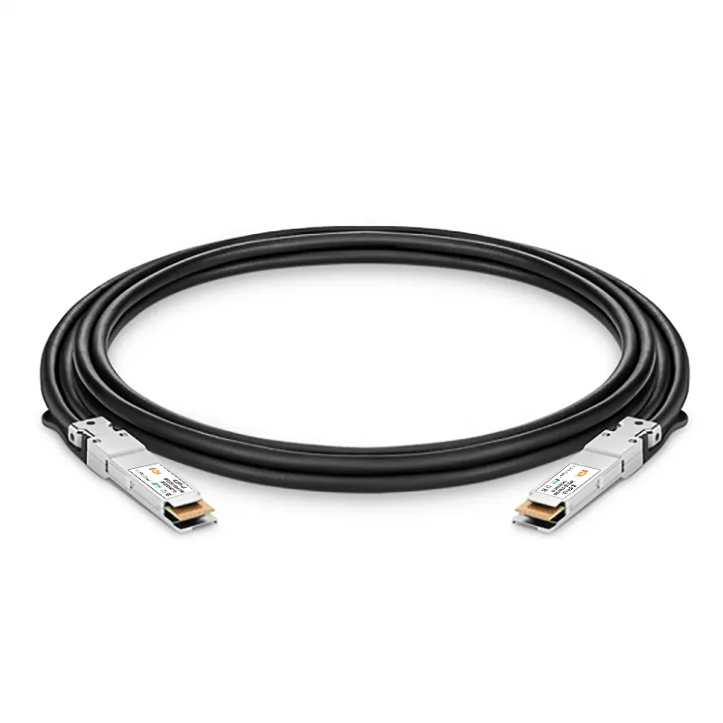 2.5M (8ft) 400G QSFP-DD Passieve Direct Bevestigen Koper Twinax Kabel Compatibel Arista Netwerken CAB-D-D-400G-2.5M