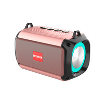   Enceinte portable étanche pour camping avec lumière LED RGB, subwoofer et sangle de transport pour fêtes en extérieur