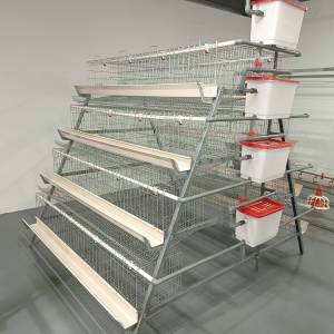 Poules pondeuses Offre Spéciale élevage de volailles pondeuses 1000 capacité 4 niveaux prix batterie poulet animal <span class=keywords><strong>Cage</strong></span> pour l'Afrique - Product Image 5